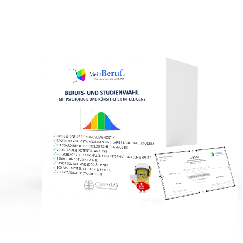 Visualisierung des Job Match Algorithmus